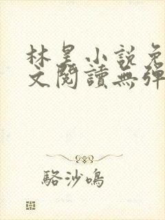 林昊小说免费全文阅读无弹窗