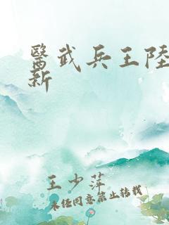 医武兵王陆轩最新