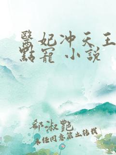 医妃冲天王爷轻点宠 小说
