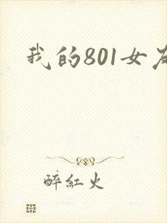 我的801女友