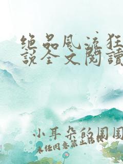 绝品风流狂医小说全文阅读