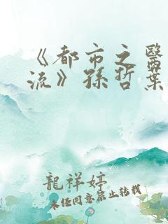 《都市之医武风流》孙哲叶巧