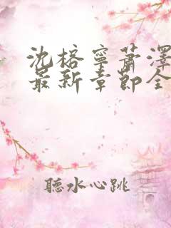 沈榕宁萧泽小说最新章节全文阅读