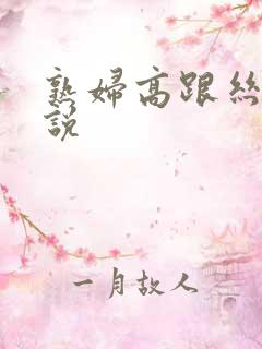 熟妇高跟丝袜小说