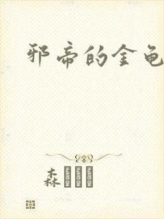 邪帝的金龟小宠