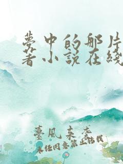 梦中的那片海原著小说在线阅读