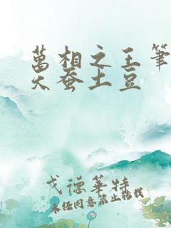万相之王笔趣阁天蚕土豆