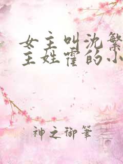 女主叫沈繁星男主姓霍的小说