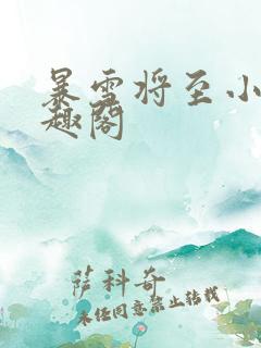 暴雪将至小说笔趣阁
