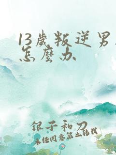 13岁叛逆男孩怎么办