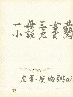 一母三女共一婿小说免费阅读