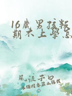 16岁男孩叛逆期不上学怎么办