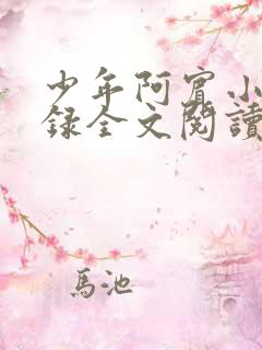 少年阿宾小说目录全文阅读无弹窗