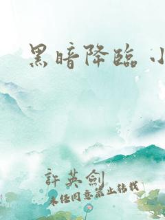 黑暗降临 小说