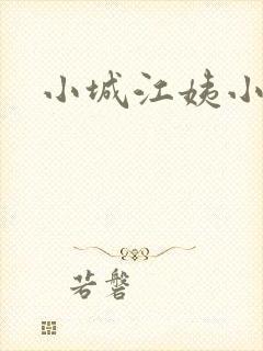 小城江姨小说