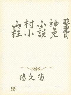 山村小神医王铁柱小说免费阅读