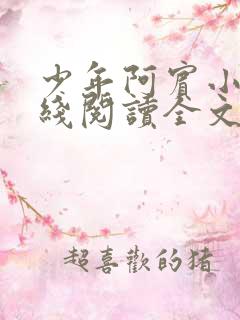 少年阿宾小说在线阅读全文无删减