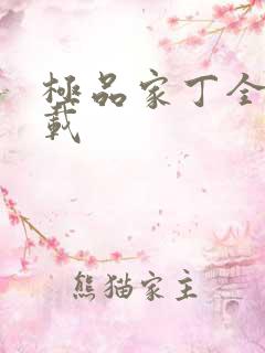 极品家丁全集下载