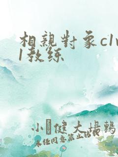 相亲对象c1v1教练