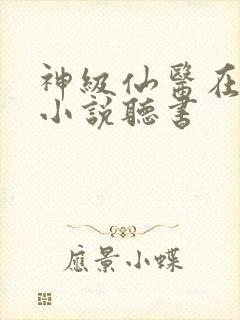 神级仙医在都市小说听书