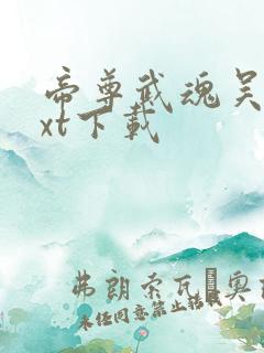 帝尊武魂吴昊txt下载