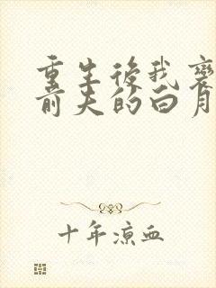 重生后我变成了前夫的白月光