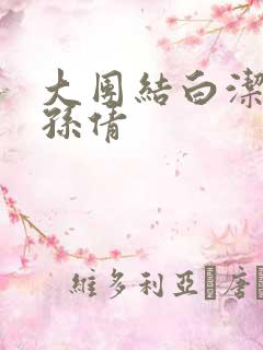 大团结白洁高义孙倩