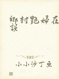 乡村艳妇在线小说