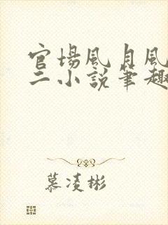 官场风月风流小二小说笔趣阁