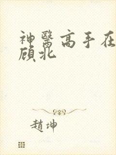 神医高手在都市顾北