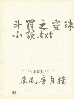 斗罗之灵珠神剑小说.txt