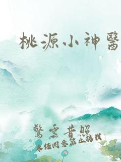 桃源小神医王晨