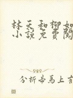 林天和柳如烟的小说免费阅读