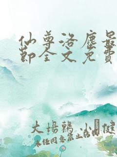 仙尊洛尘最新章节全文免费阅读