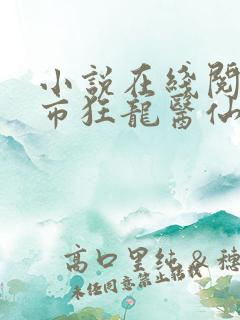 小说在线阅读都市狂龙医仙