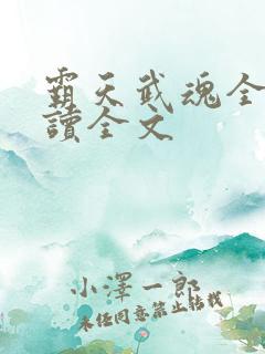 霸天武魂全文阅读全文