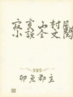 寂寞山村风残阳小说全文阅读