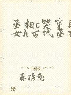 丞相c哭宝贝乖女h古代丞相视频