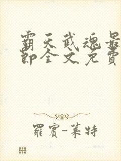 霸天武魂最新章节全文免费阅读