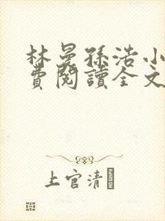 林曼孙浩小说免费阅读全文最新章节