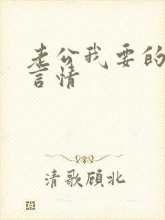老公我要的小说言情