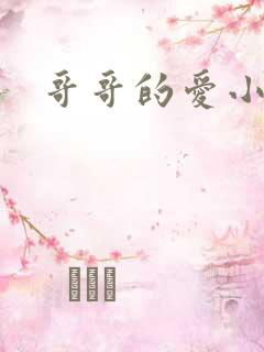 哥哥的爱小说