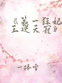 《第一狂妃:邪王逆天宠》