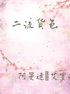二流货色