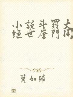 小说斗罗大陆2绝世唐门同人