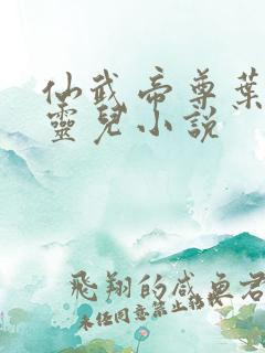 仙武帝尊叶辰楚灵儿小说