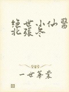 绝世小仙医张南北张冬