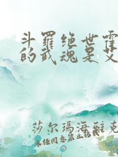 斗罗绝世霍雨浩的武魂是艾露猫笔趣阁