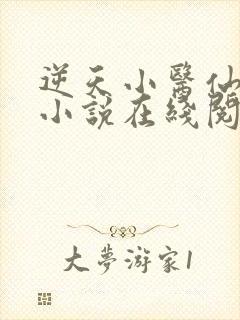 逆天小医仙陈平小说在线阅读