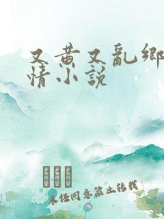 又黄又乱乡村乱情小说